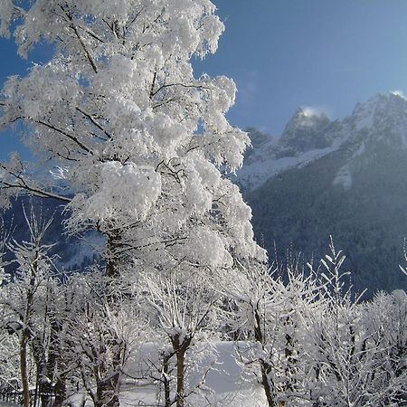Chalet Altitude 1057 샤모니 외부 사진